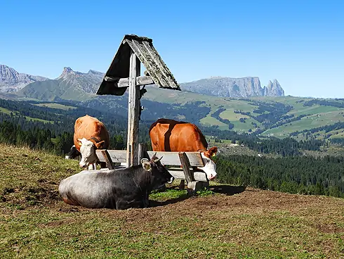 Col de Mesdi