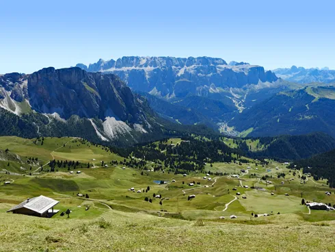 Sellagruppe