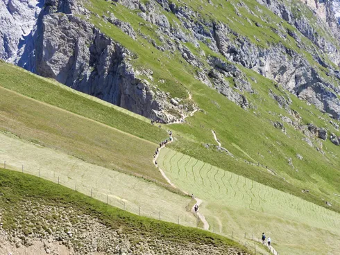 Panascharte