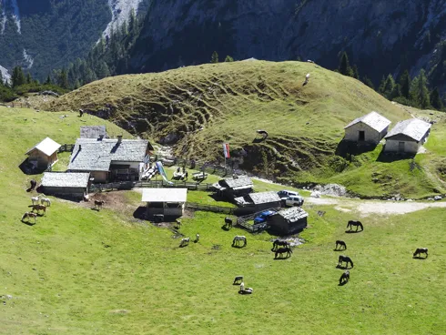 Hochalpenhütte