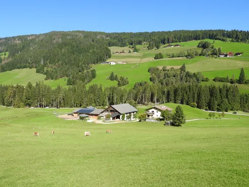 Schmieden