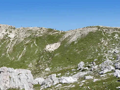 Paternsattel